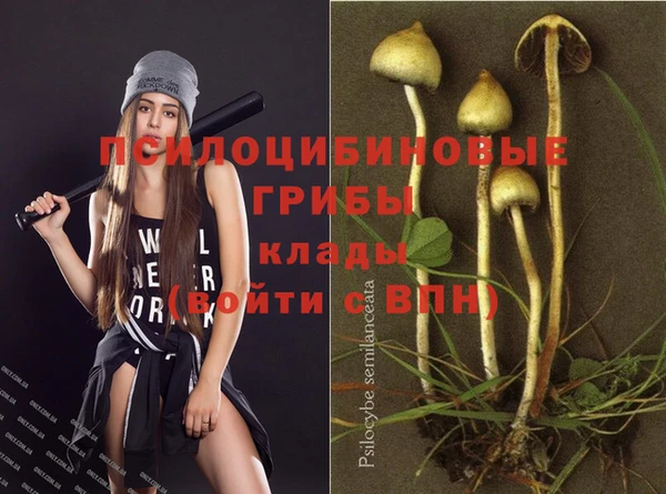 трава Алексеевка