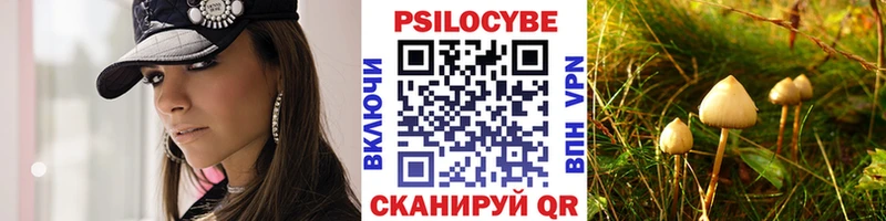 мега вход Хадыженск Псилоцибиновые грибы Cubensis